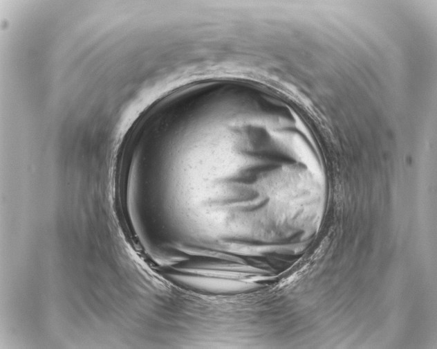 X0000087031512200705071521