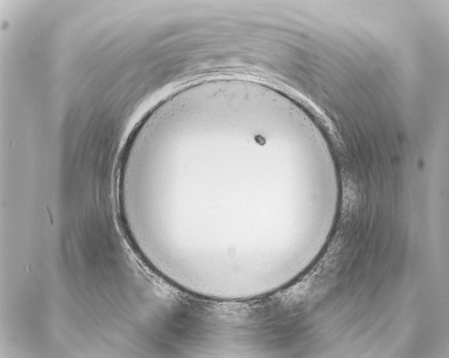 X0000087031514200705071521