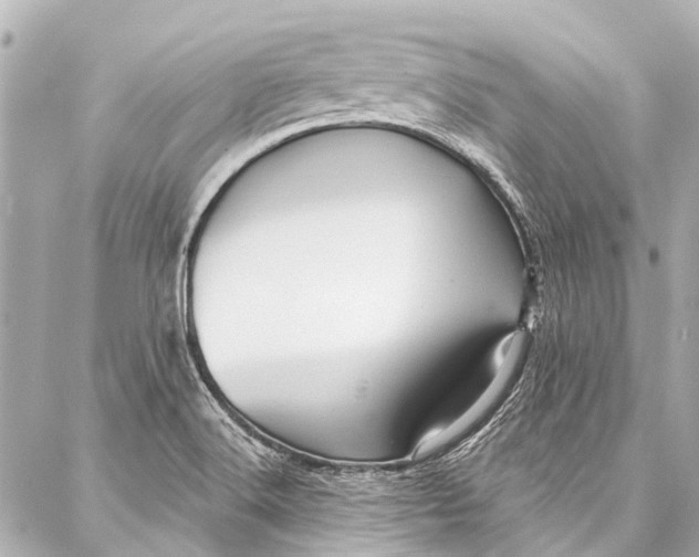 X0000087031516200705071522