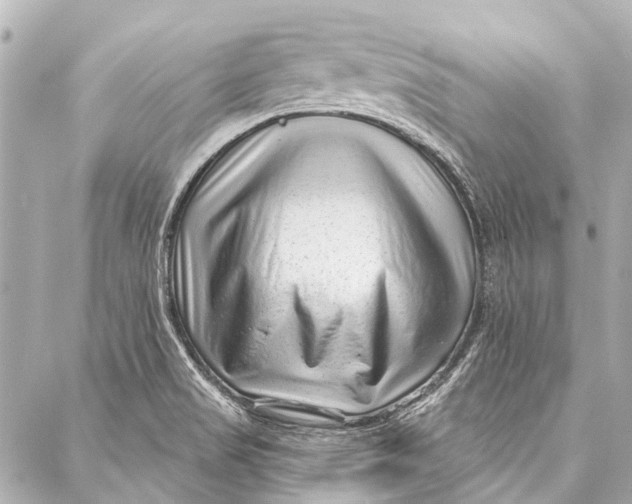 X0000087031517200705071522