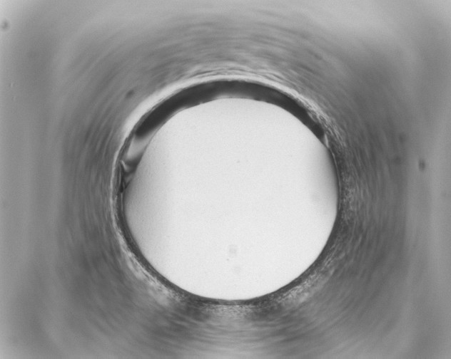 X0000087031518200705071522