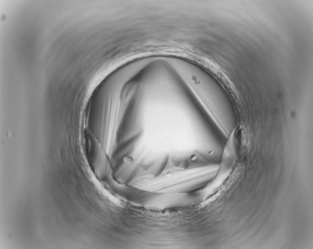 X0000087031520200705071522