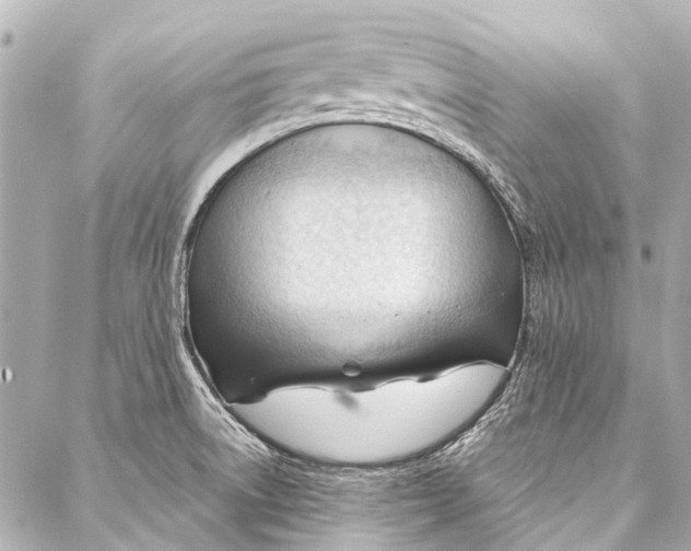 X0000087031522200705071522