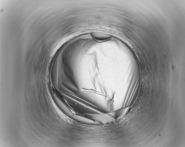 X0000087031523200705071522