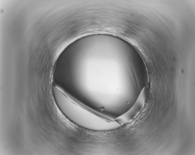 X0000087031524200705071522