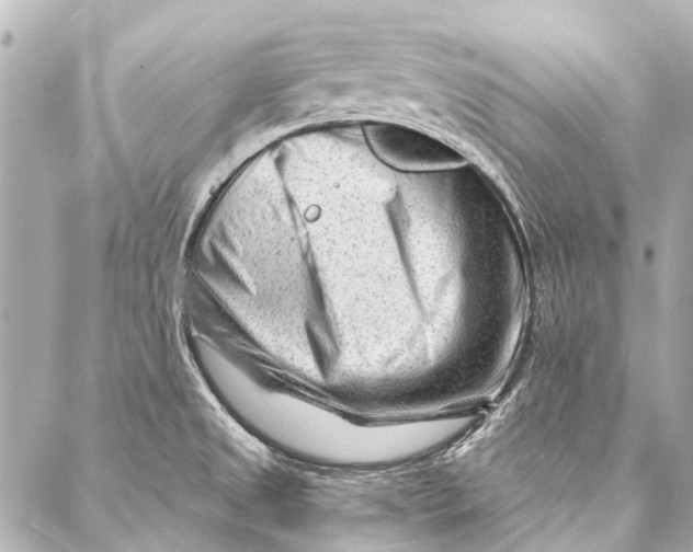 X0000087031525200705071522