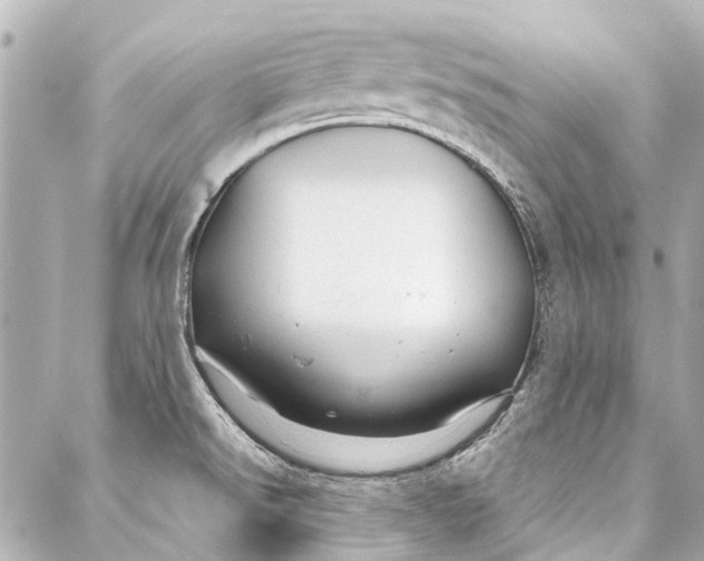 X0000087031526200705071522