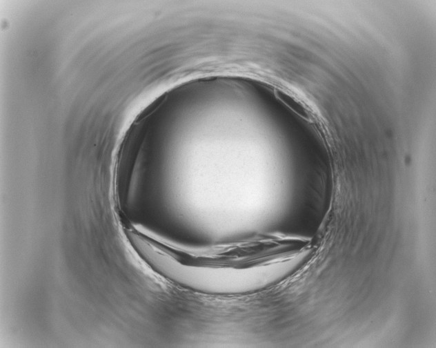 X0000087031528200705071522