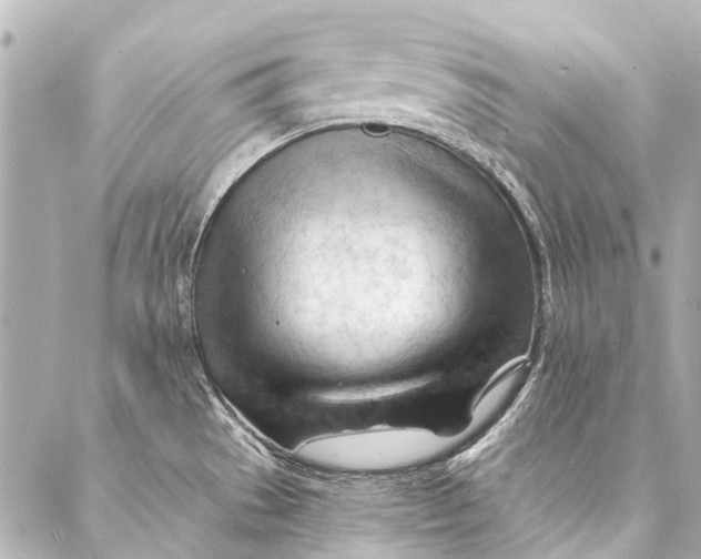 X0000087031529200705071522