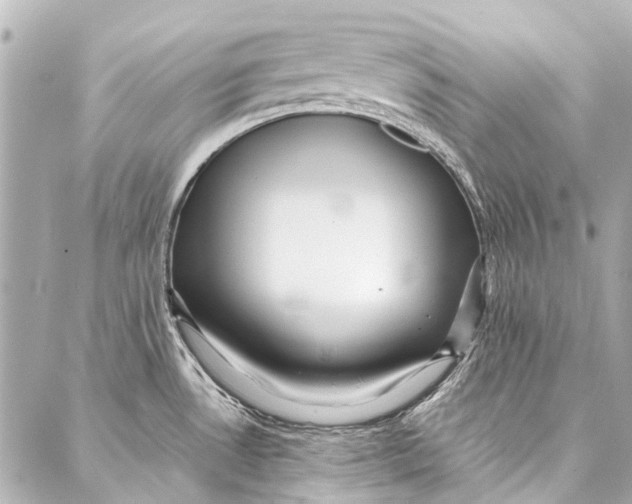 X0000087031530200705071522