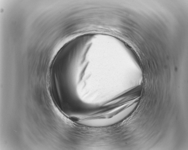 X0000087031531200705071522