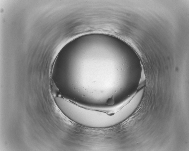 X0000087031532200705071522