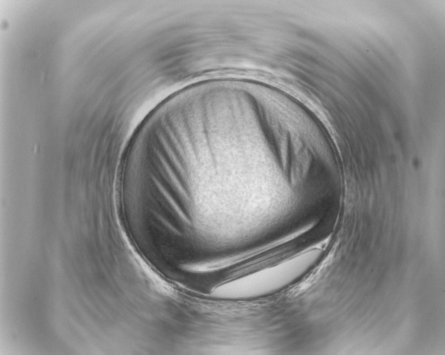 X0000087031533200705071522