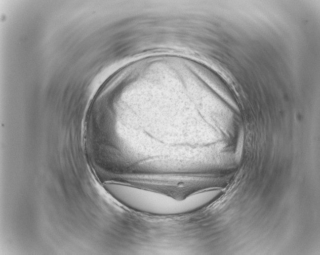 X0000087031535200705071522