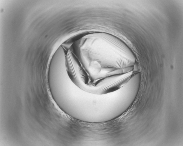 X0000087031536200705071522