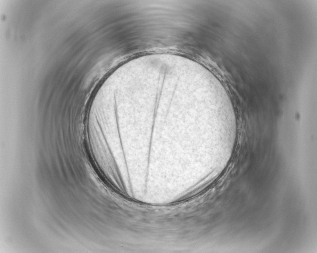 X0000087030002200705141934