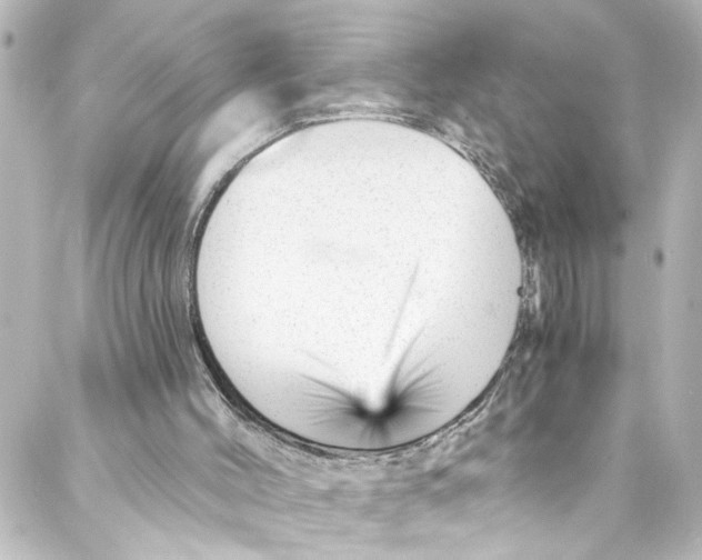 X0000087030004200705141934