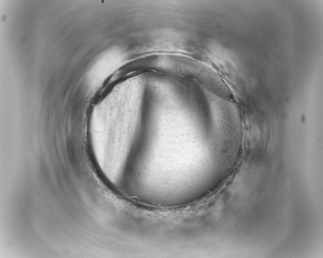 X0000087030005200705141934