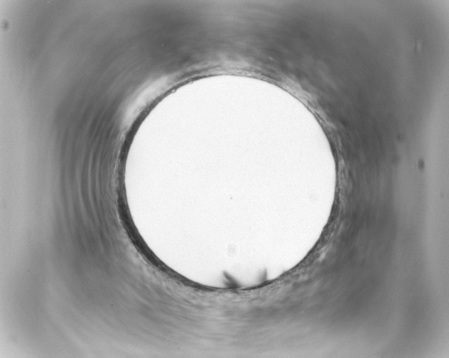 X0000087030007200705141934