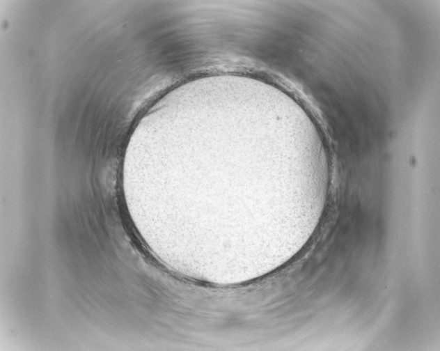 X0000087030010200705141933