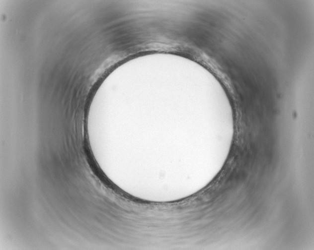 X0000087030011200705141933