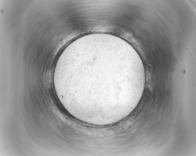 X0000087030012200705141933