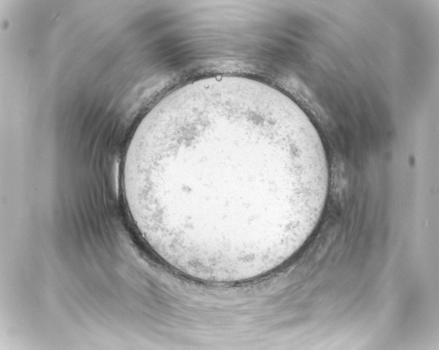 X0000087030014200705141933