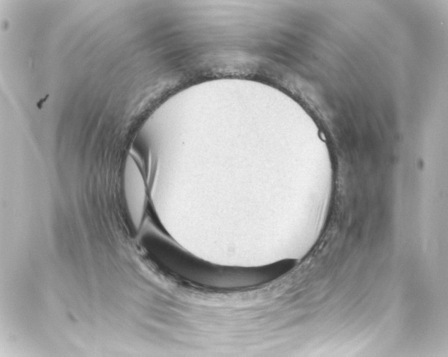 X0000087030017200705141933