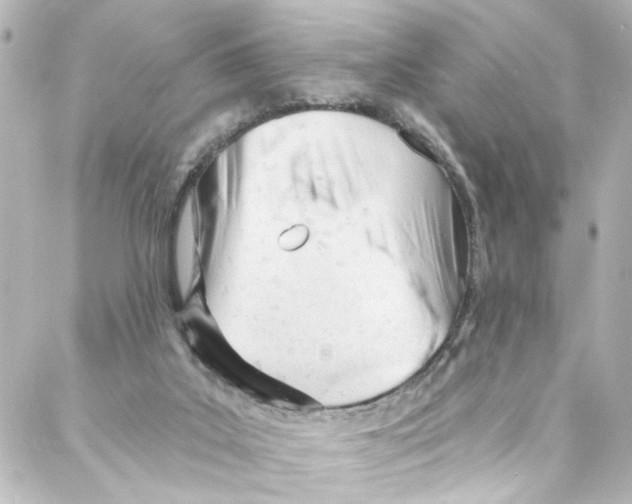 X0000087030019200705141933