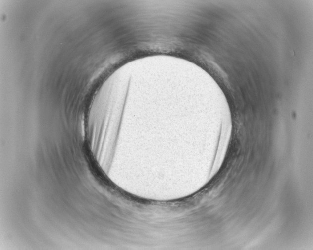 X0000087030020200705141933