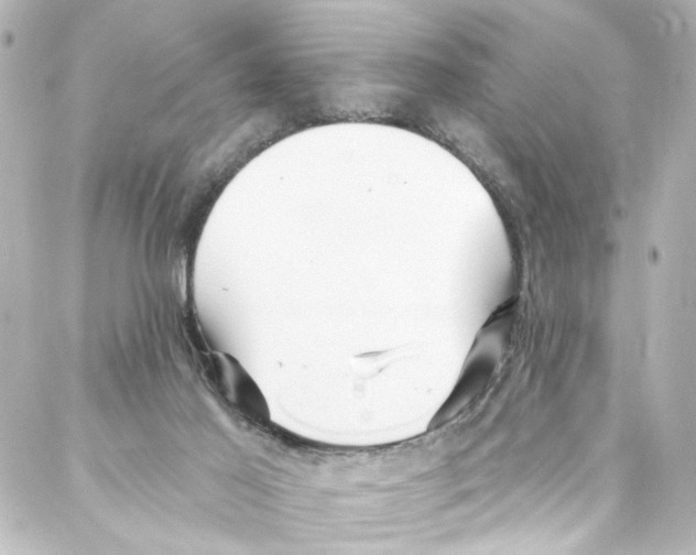 X0000087030021200705141933