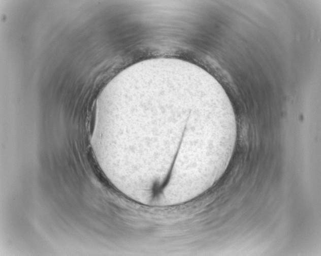 X0000087030026200705141933