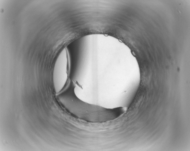 X0000087030027200705141933