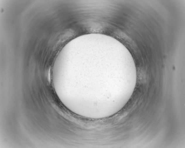 X0000087030028200705141933