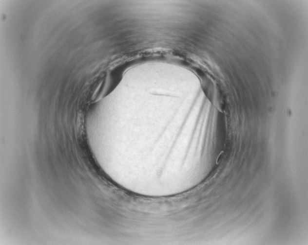 X0000087030029200705141933