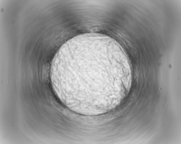 X0000087030030200705141933