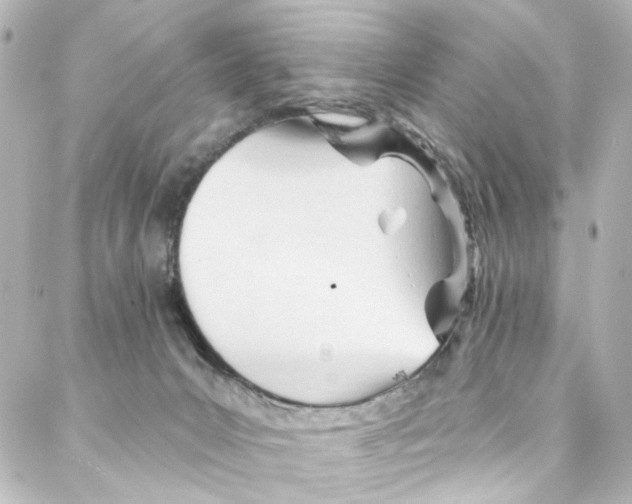 X0000087030031200705141933