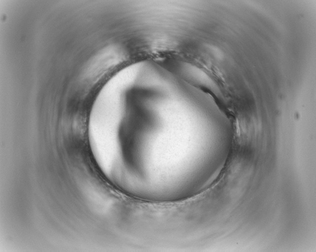 X0000087030033200705141933