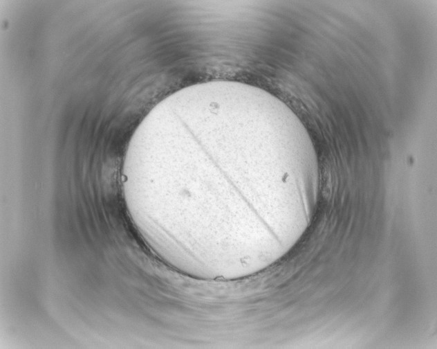 X0000087030034200705141933