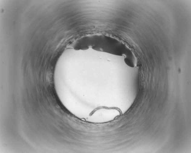 X0000087030035200705141933