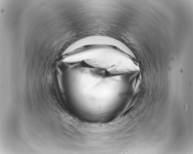 X0000087030037200705141933