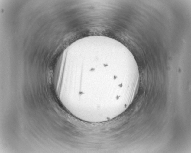 X0000087030038200705141933