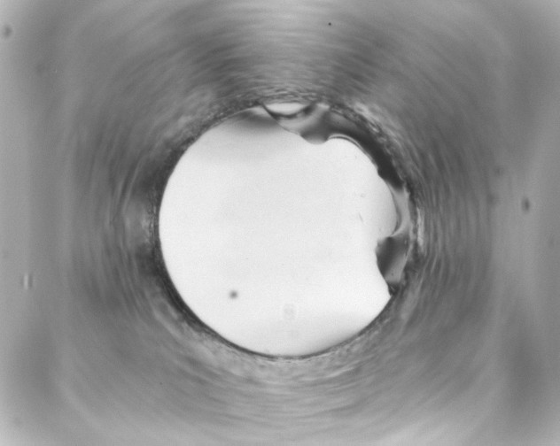 X0000087030039200705141933