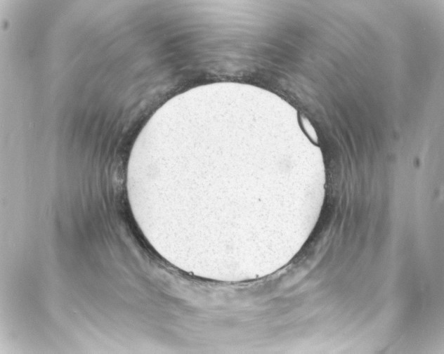 X0000087030040200705141933