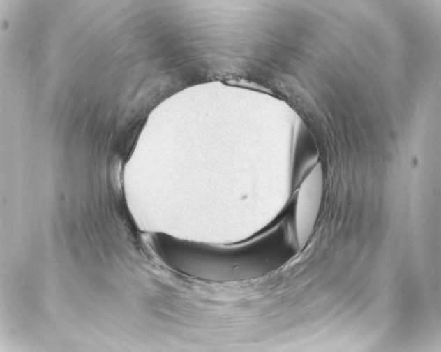 X0000087030041200705141933