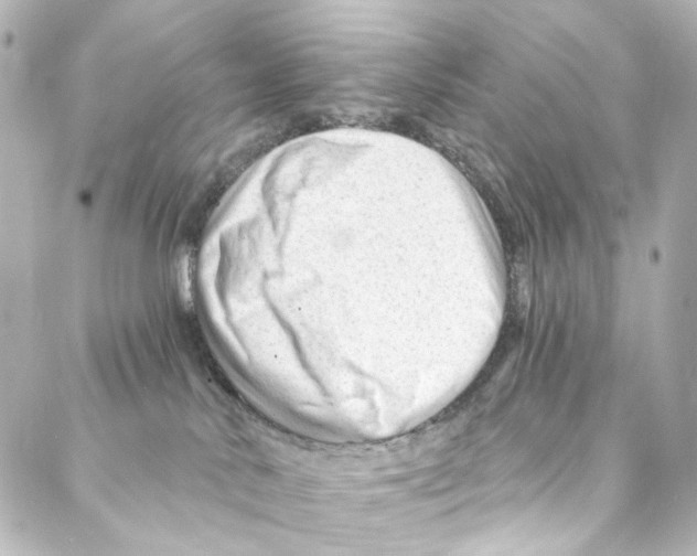 X0000087030042200705141933