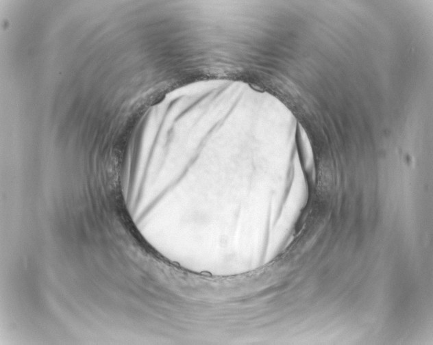 X0000087030043200705141933