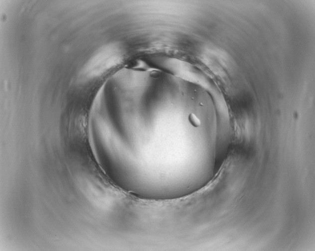 X0000087030045200705141933