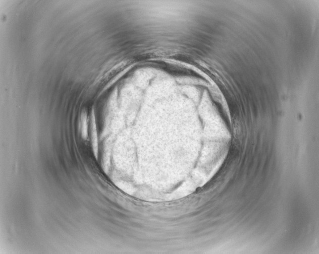 X0000087030046200705141933