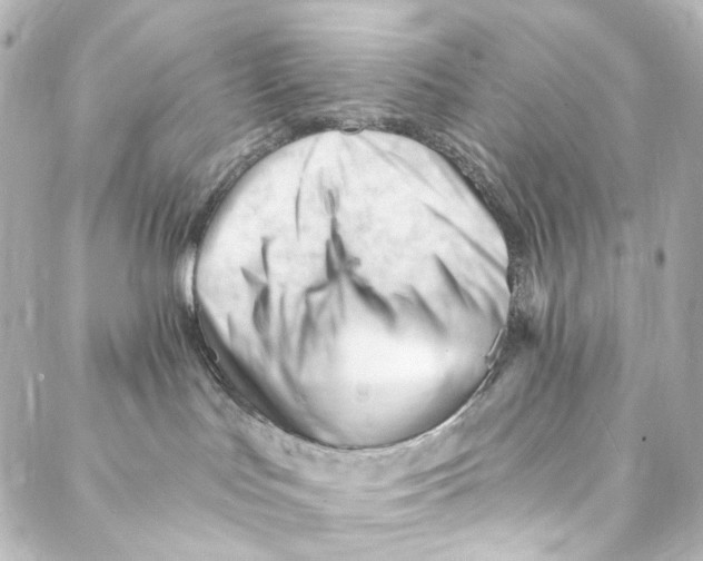 X0000087030047200705141933